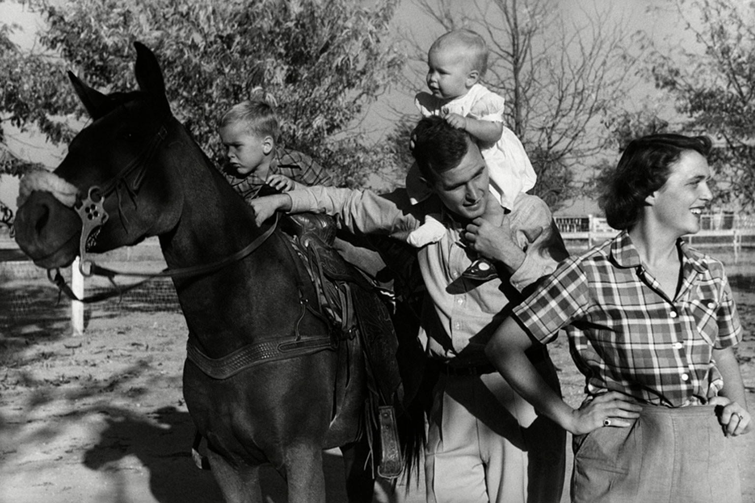 How Many Kids Does Neil Young Have How Many Kids Does Neil Young Have